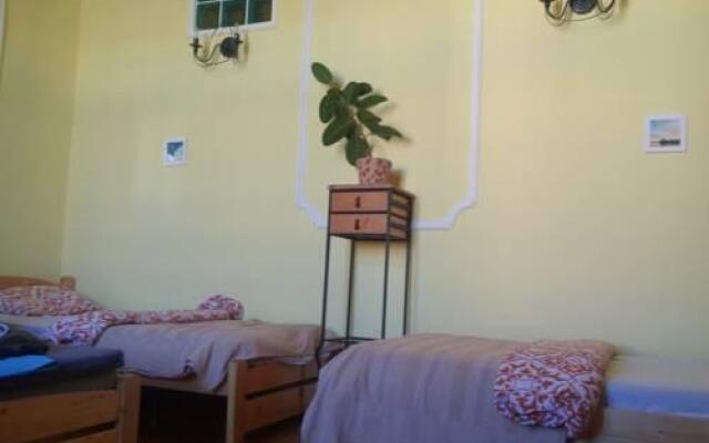 Downtown Oasis Apartment/Hostel