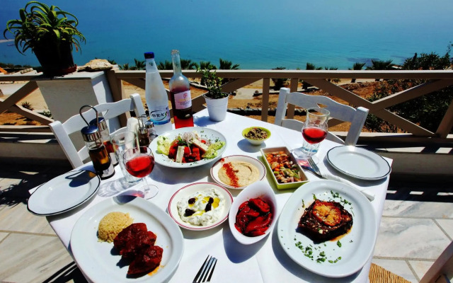 Paros Blue Dolphin