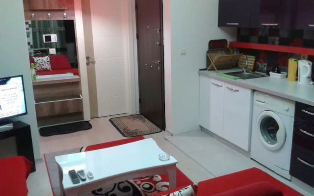 MC Suite