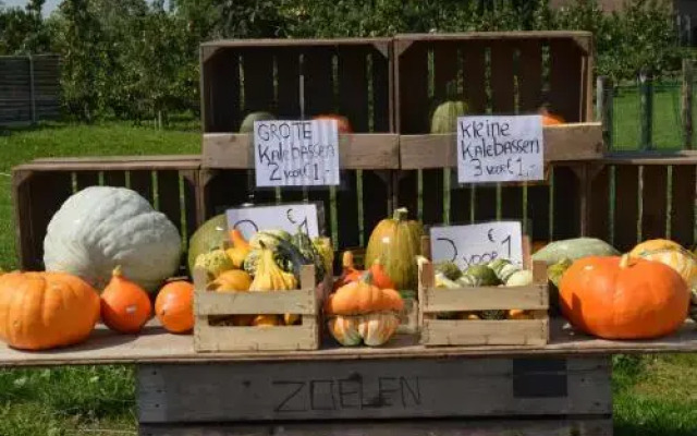 Steltenberg Bij ons op Zolder