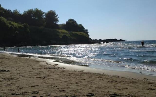 Maria's House 2