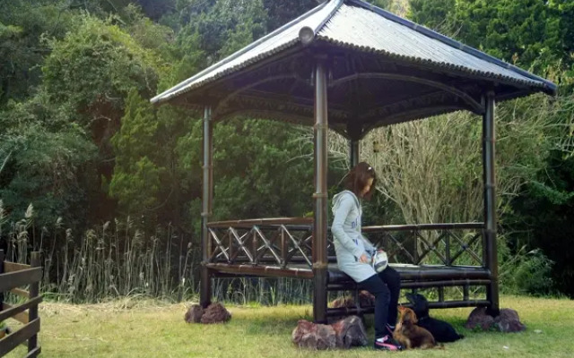 Dog Friendly Asian Resort Umiyado Taiyobito