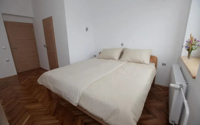 Prenocisca Miklavcic