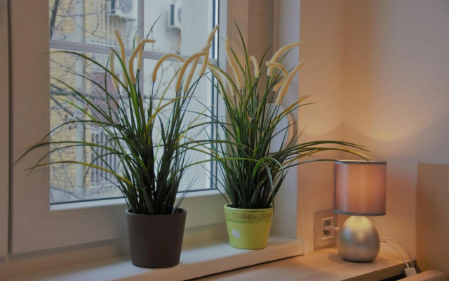 Spacious 2-bedroom apartment with luxury feel