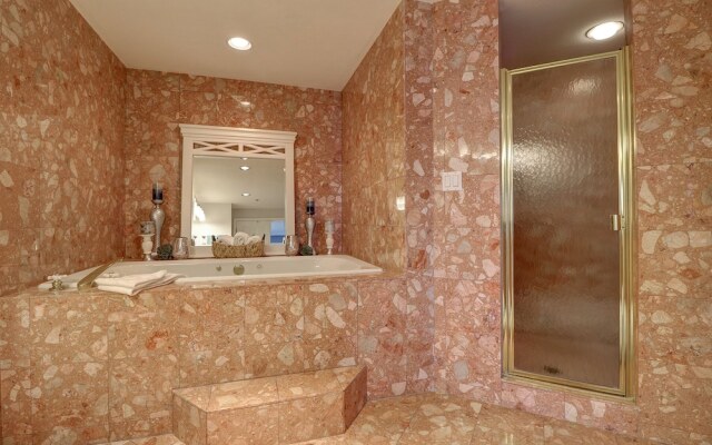 Beach Palms 504