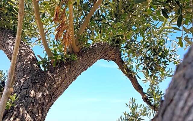 Bed & Breakfast del Faro