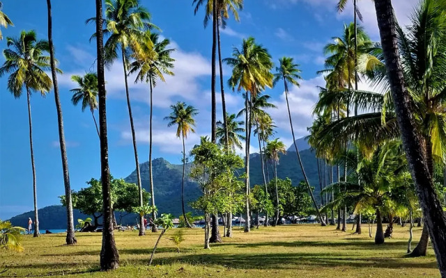 Moorea - O Motu in Temae