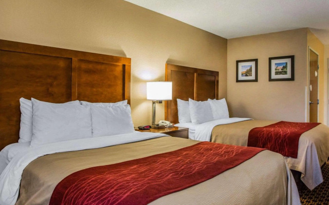 Comfort Inn Joliet West I-80