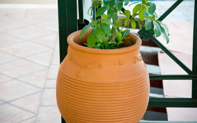 Santa Catharina