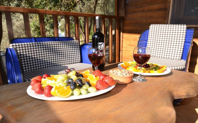 Baharoglu Life House Faralya