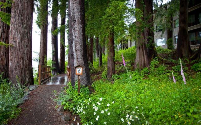 Lake Quinault Lodge