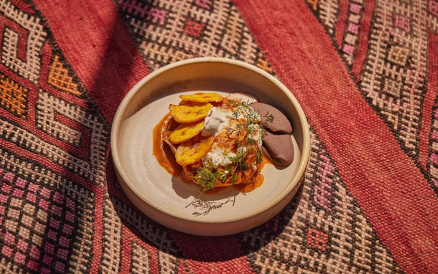 Our Habitas San Miguel de Allende