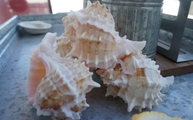 Bahia 176 3 BR by Casago