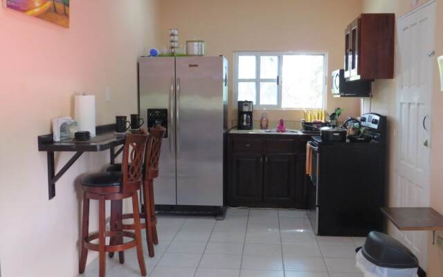 Lake View Condo