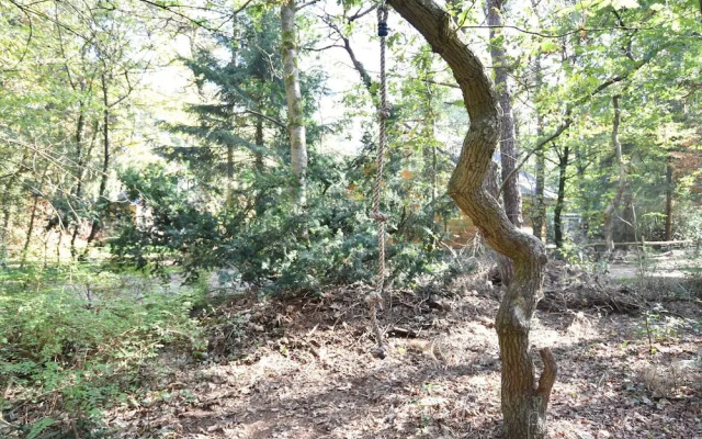 Quaint Chalet in Norg With Balcony, Terrace, Garden, Hammock