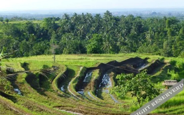 West Bali Villas-Umasari Resort