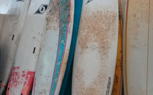 Tiki Lodge Bar & Restaurant - Hostel