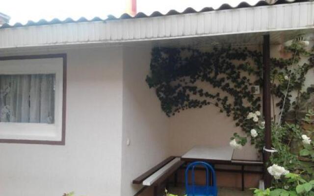 Ksyusha Guest House