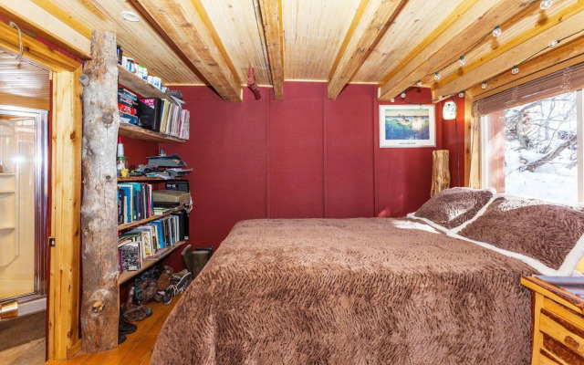 Treehouse by the Stream