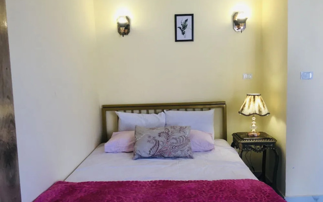 Cairo Lodge Hostel