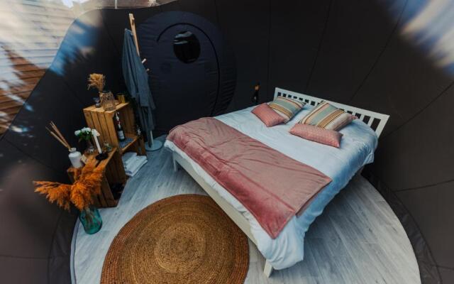 Reves2bulles (Adults Only)