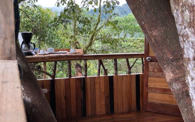 El Edén Treehouse