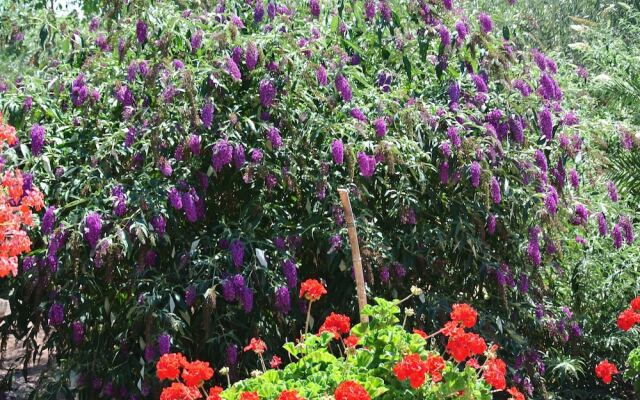 The Gîte Moulin au Viala du Bosc 34700