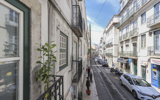 Santa Catarina Elegant by Homing