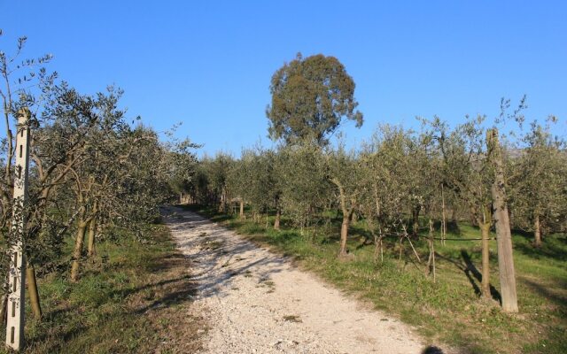 Agriturismo Pony Ranch - 4