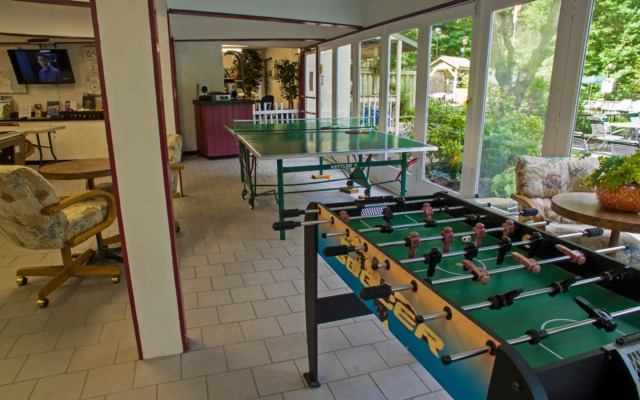 Mtn Chalet w Pool-hot Tub-gym-game Room-sauna