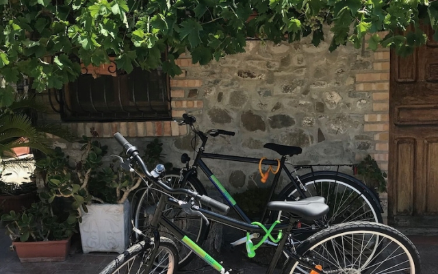 Arancetodamareposeidone