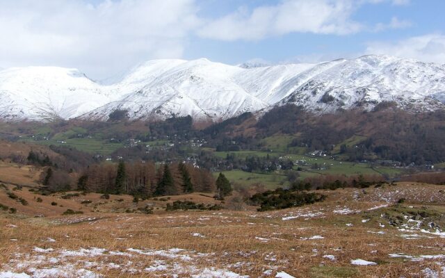 Elm - Woodland Cottages