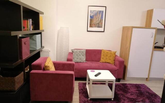 Studio 28 - 1 camera Lazăr Residence ultracentral