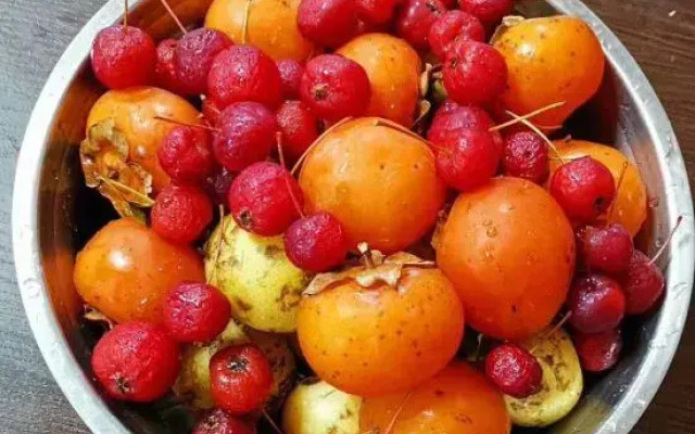 Snow Valley Yilongyuan lnn