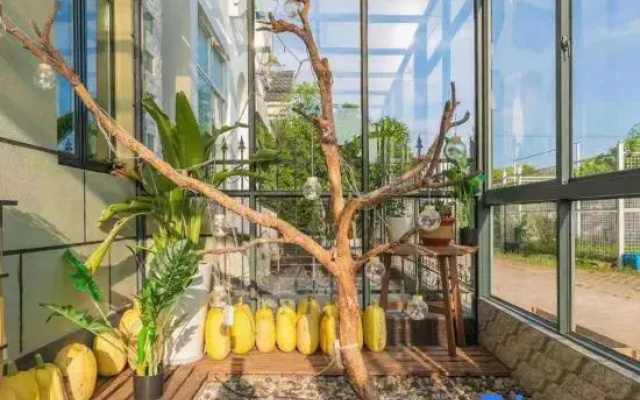 Shanghai Chongming Taoxin Homestay