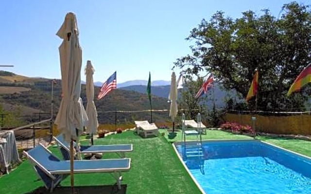 B&B Live Paradise