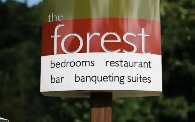 The Forest Hotel