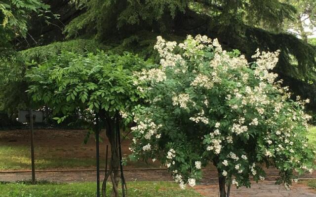 Bed and Breakfast Bio Salix