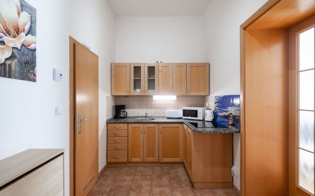 Spacious Apartments in Heart of Prague