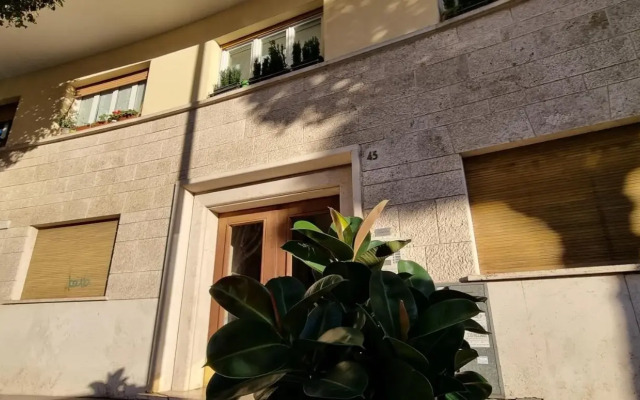 Rome in Apartment - Staz. San Pietro
