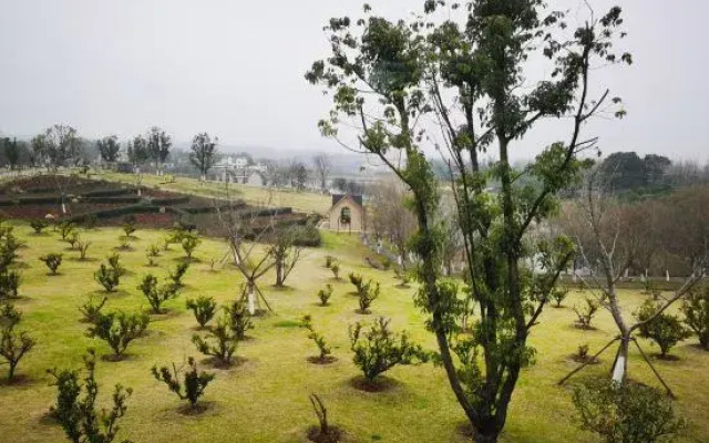 Longshan Shangxin Valley Resort