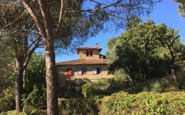 Il Paretaio