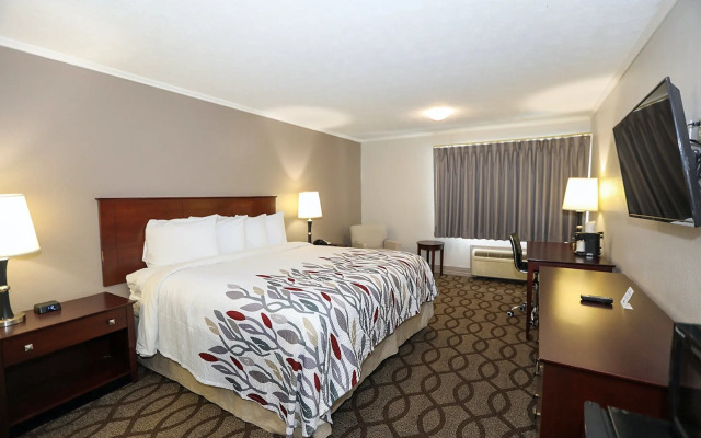 Red Roof Inn & Suites Lexington - Hamburg