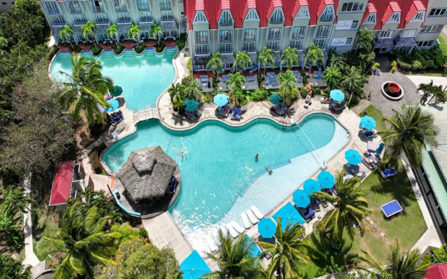 Coco Palm