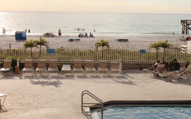 Beach Palms 405