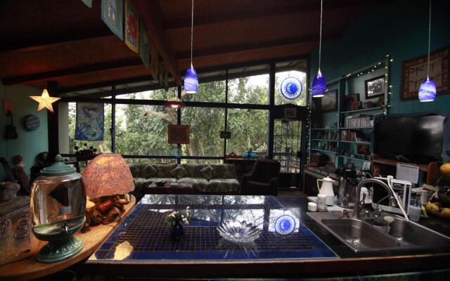 Dragonfly Ranch