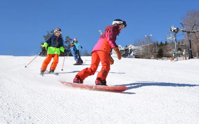 Mountainaire Inn and Log Cabins