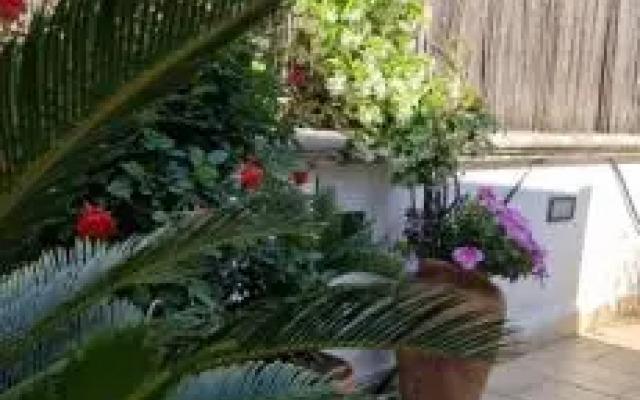 Studio Bari Intendenza