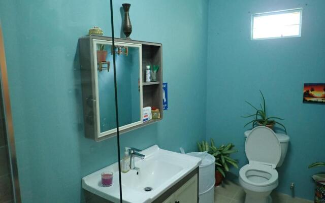 Urban Oasis Apartment