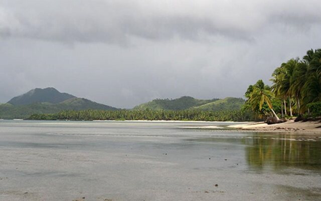 Tarzan's Beach Resort